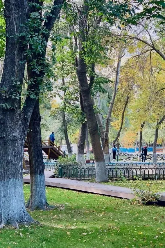 职业篮球运动员分享比赛中的训练心得_0